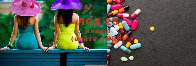 купить наркотик  Курчалой  Лсд 25 экстази ecstasy 